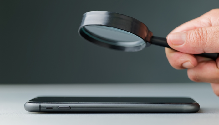 Experto detectando fenómeno de canibalización SEO